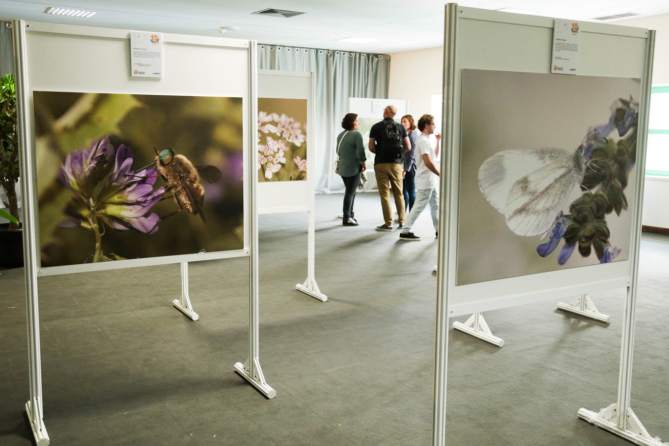 Syngenta firma protocolos de agricultura sustentável com Elaia e Grupo Ortigão Costa